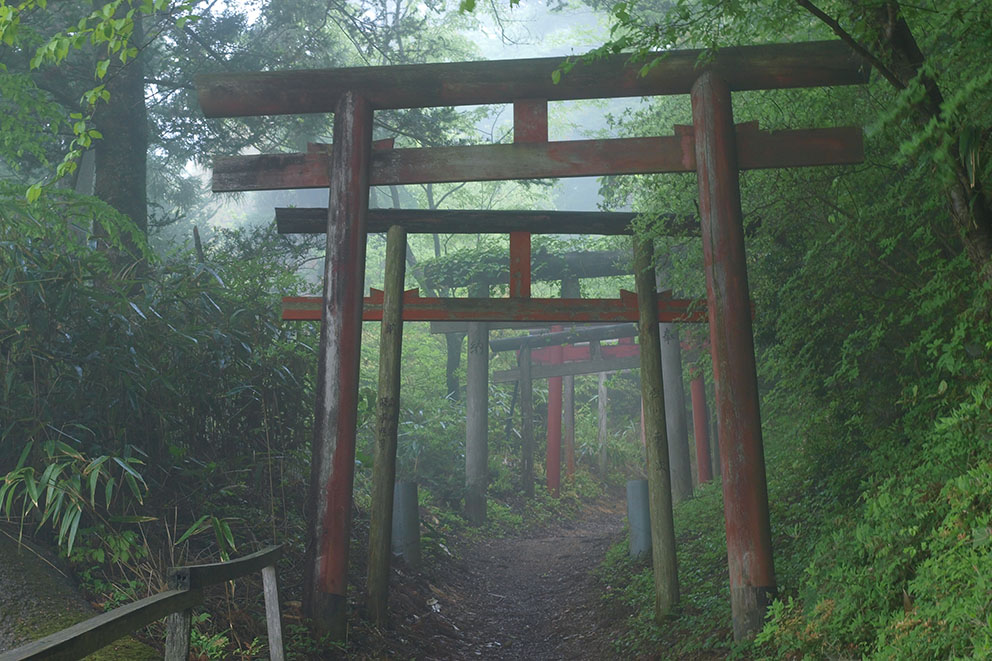 koya wakayama
